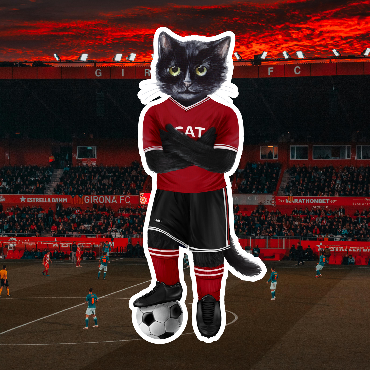 Football Cat