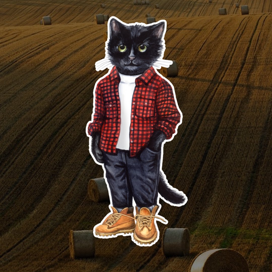 Country Cat Maniita Lacitta.