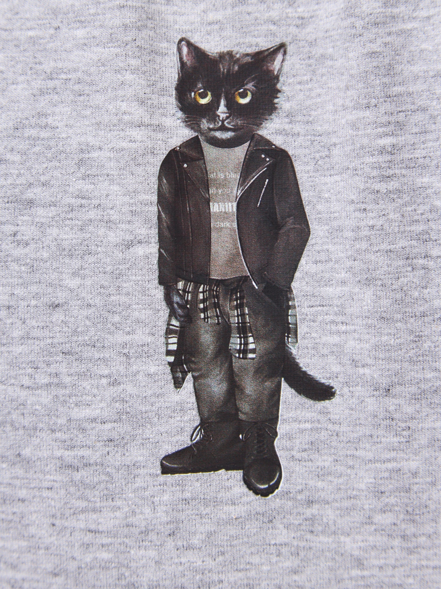 Grey Printed T-shirt ROCKER CAT