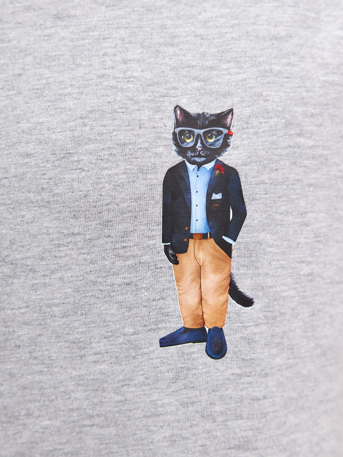 Grey Printed T-shirt REGATTA CAT