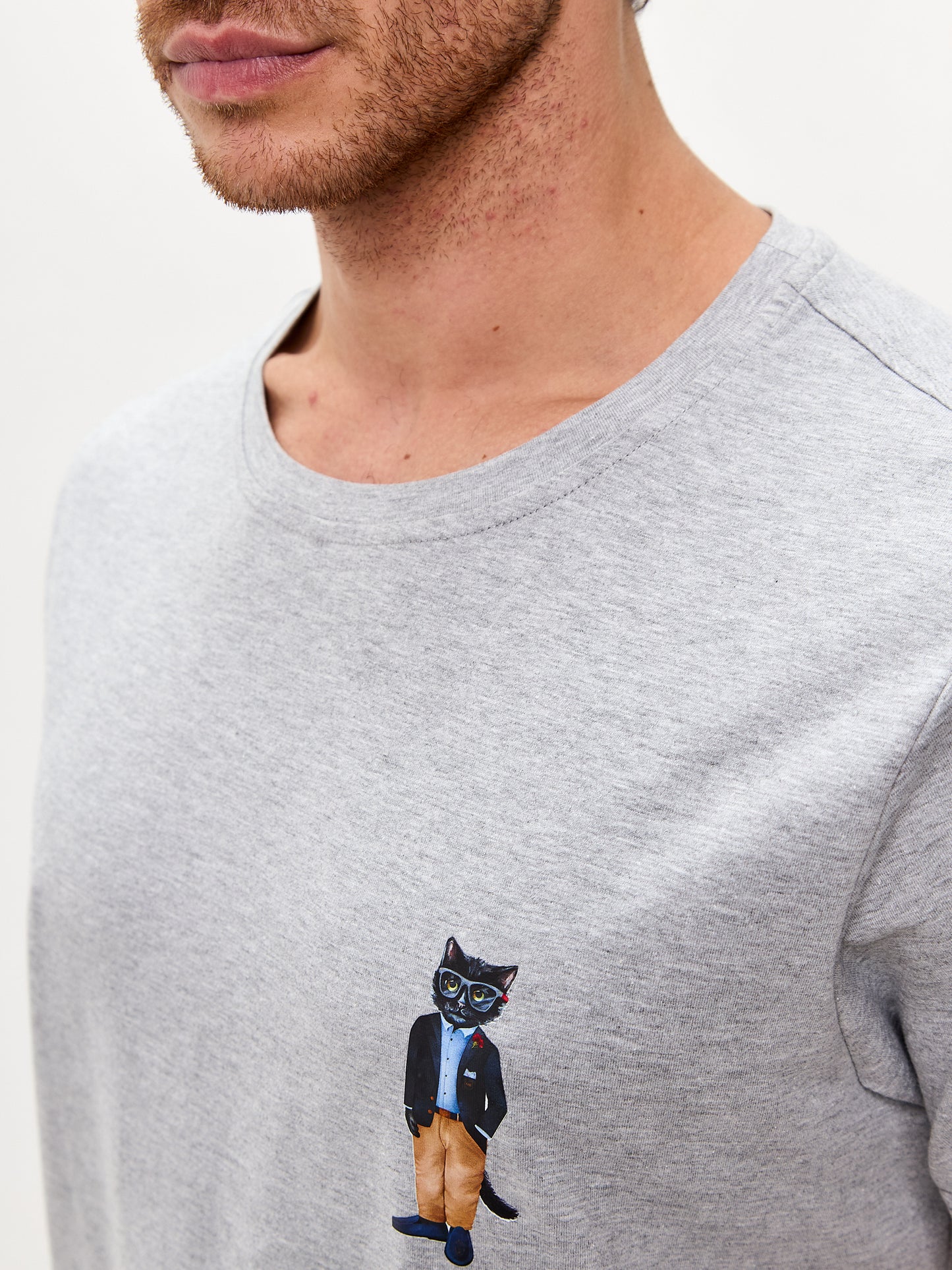 Camiseta Estampada Gris REGATTA CAT